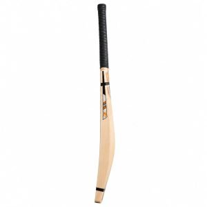nj multi scoop model: ultimate elite kashmir willow cricket bat 2026 edition