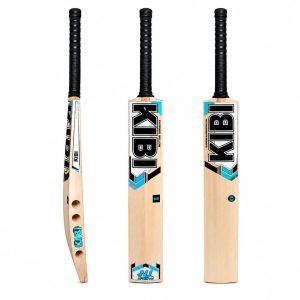 punch bat premium model: ultimate elite kashmir willow cricket bat 2026 edition